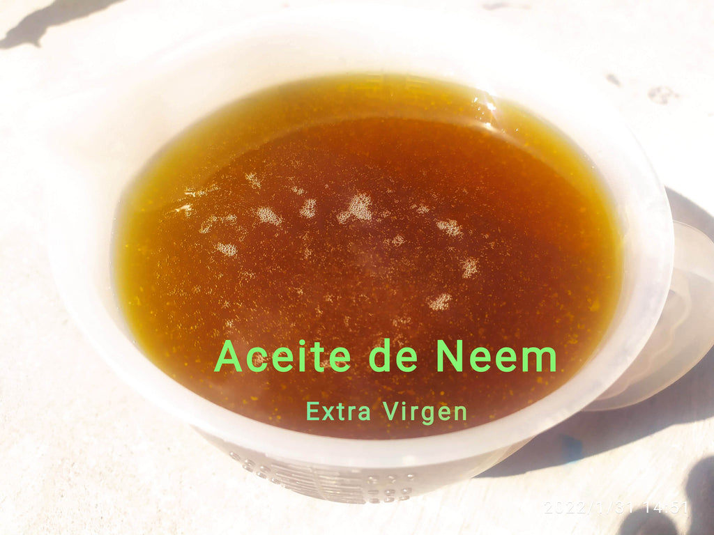 1 Lt Jabón Potásico-2 Aceite De Neem Puro-1 Tierra Diatomeas