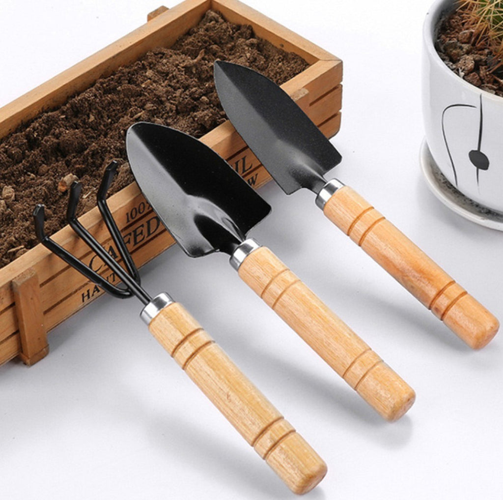 1 Lt Jabón Potásico-2 Aceite De Neem Puro-1 Tierra Diatomeas